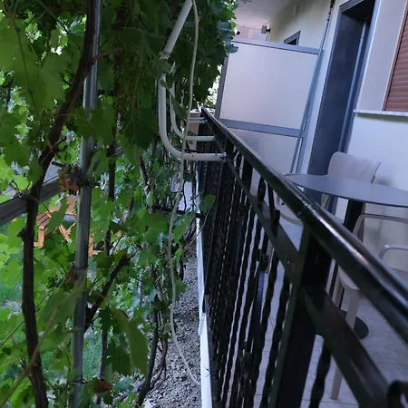 Apartmán Kalpazo Kaja Garden Golem (Tirana)