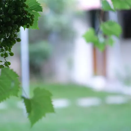 Apartmán Kalpazo Kaja Garden *
