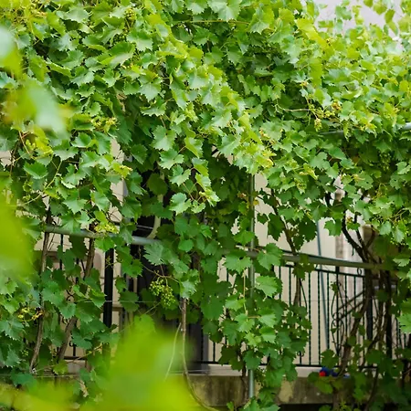 Apartment Kalpazo Kaja Garden