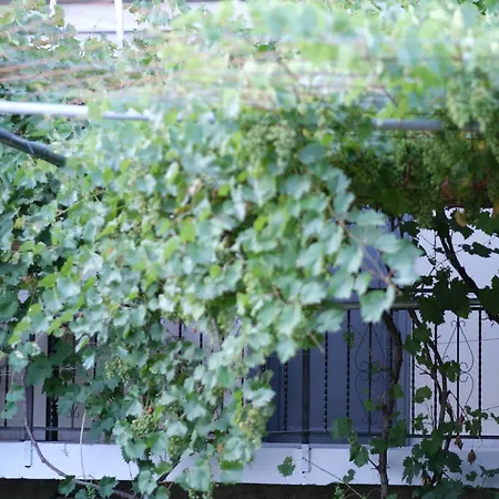 Kalpazo Kaja Garden Apartment Golem (Tirana)