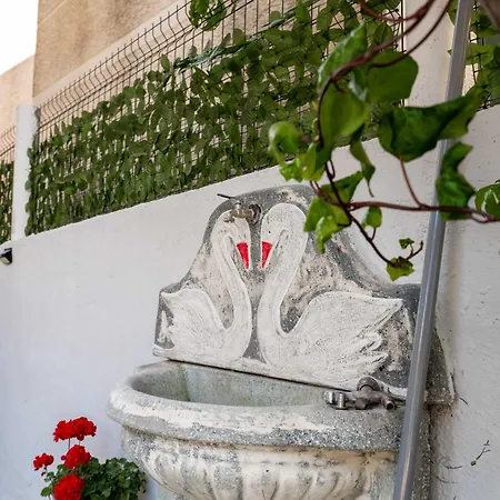 Kalpazo Kaja Garden * Golem (Tirana)
